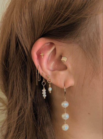 Ariel Clamshell Stud Earrings